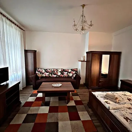 Apartman U Tri Jehnatek 아파트 카를로비바리